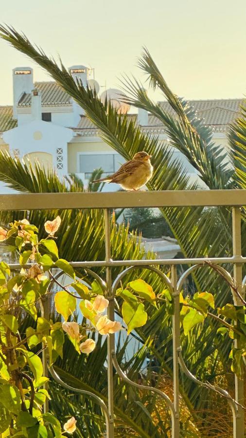 Amazing 2 Bedroom Apartment Near Beach With Pool Lagos Ngoại thất bức ảnh